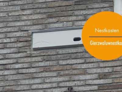 Holonite Nistkästen