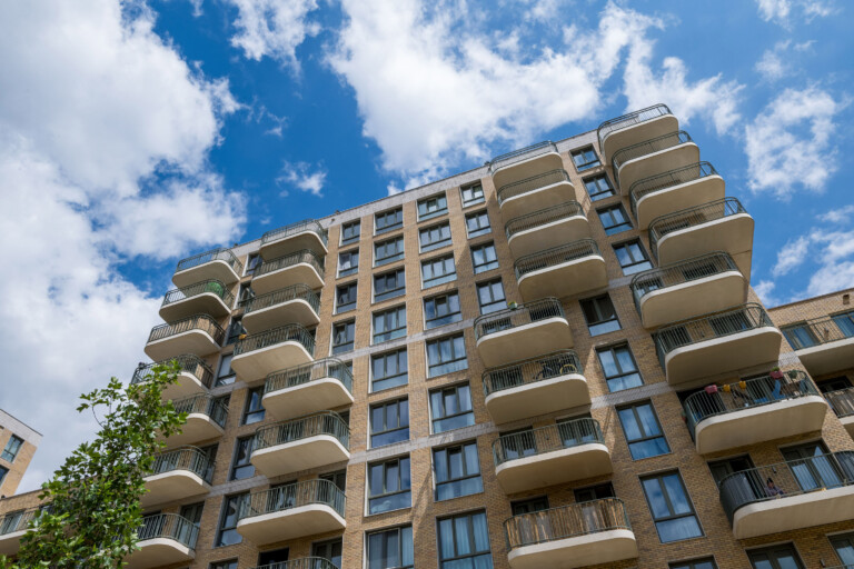 Holonite kader Nieuw Develstein